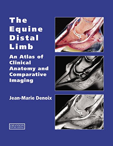 Equine Distal Limb: An Atlas of Clinical Anatomy and Comparative Imaging von CRC Press